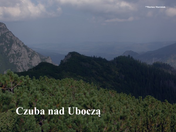 Czuba nad Uboczą